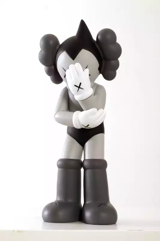 Kaws Vinyl Figures: Van Kaws Original tot BFF, Astro Boy, Storm Trooper en Meer – Voeg Iconische Kunst Toe aan Je Interieur! - Shiptora